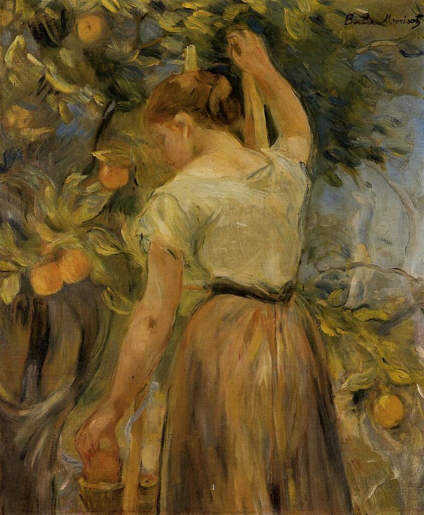 Young Woman Picking Oranges