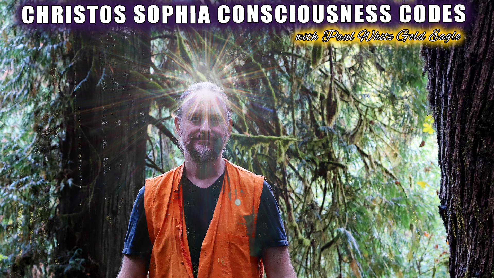 You are currently viewing Crystalline Soular Christos Sophia Consciousness Light Codes Flowing in the Sacred Ascension Portal