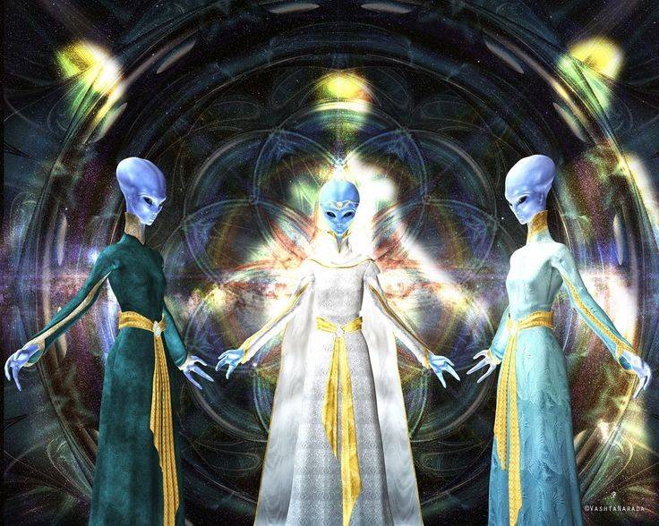 THE PLEIADIAN COLLECTIVE