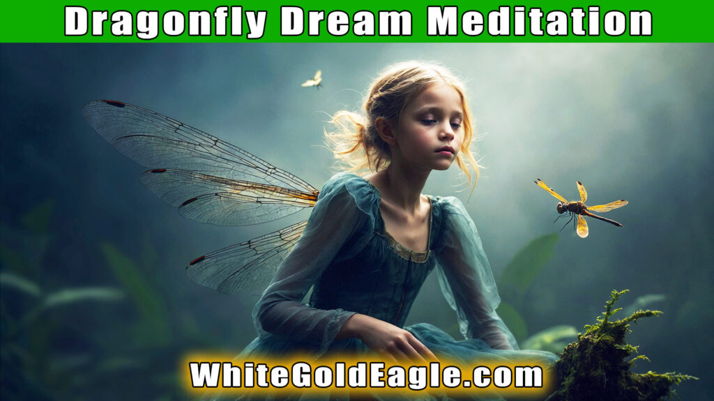 Dragonfly Dream Guided Meditation