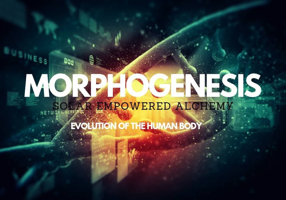 Morphogenesis