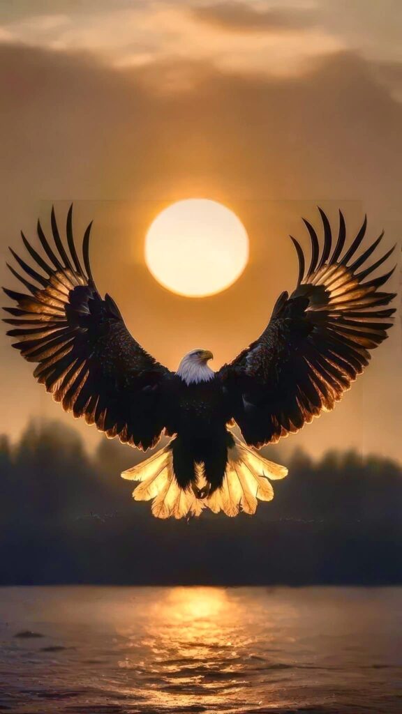 Eagle Sun