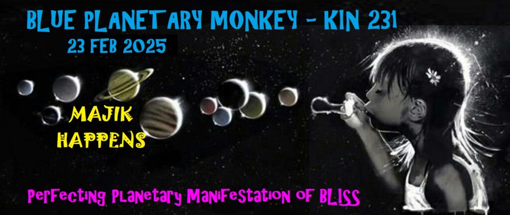 BLUE PLANETARY MONKEY