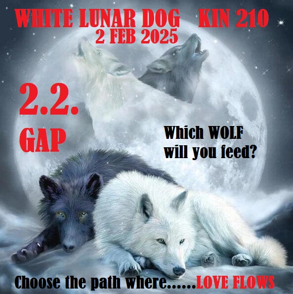 WHITE LUNAR DOG