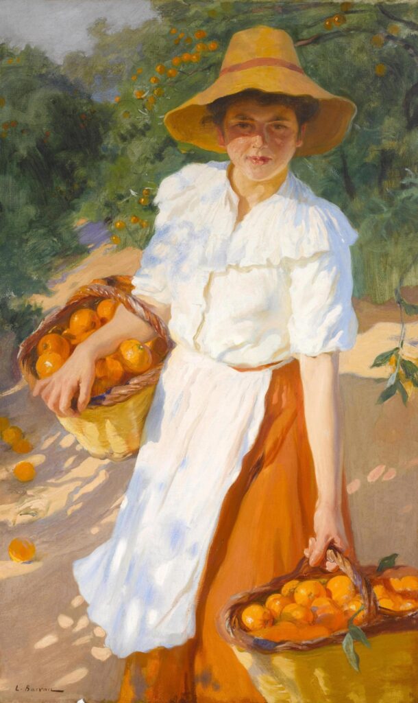 Harvesting Oranges