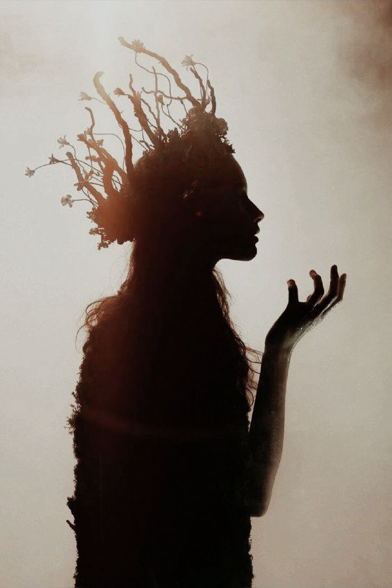 manifesting the dream