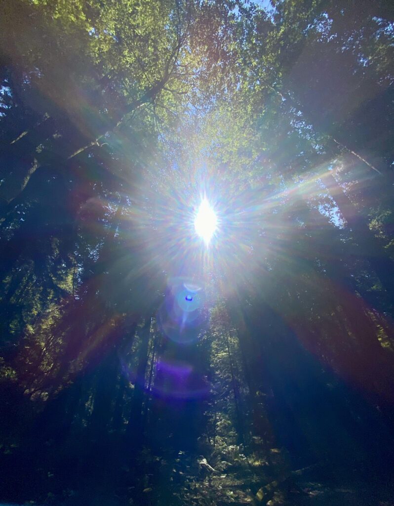 Cosmic Creatixes of the Primordial Mother