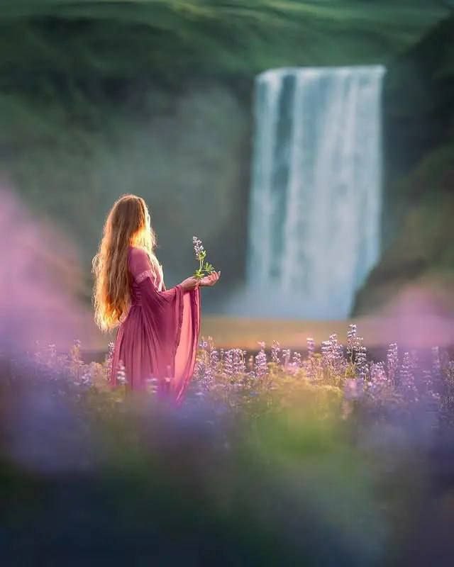 WISDOM AND THE GATEWAY TO THE ECLIPSE CORRIDOR