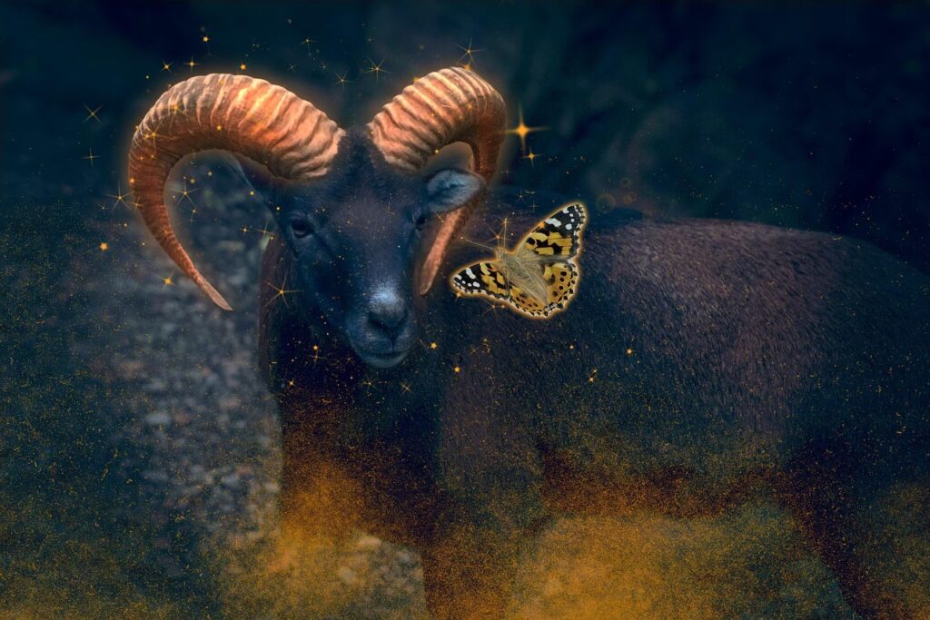 Capricorn 