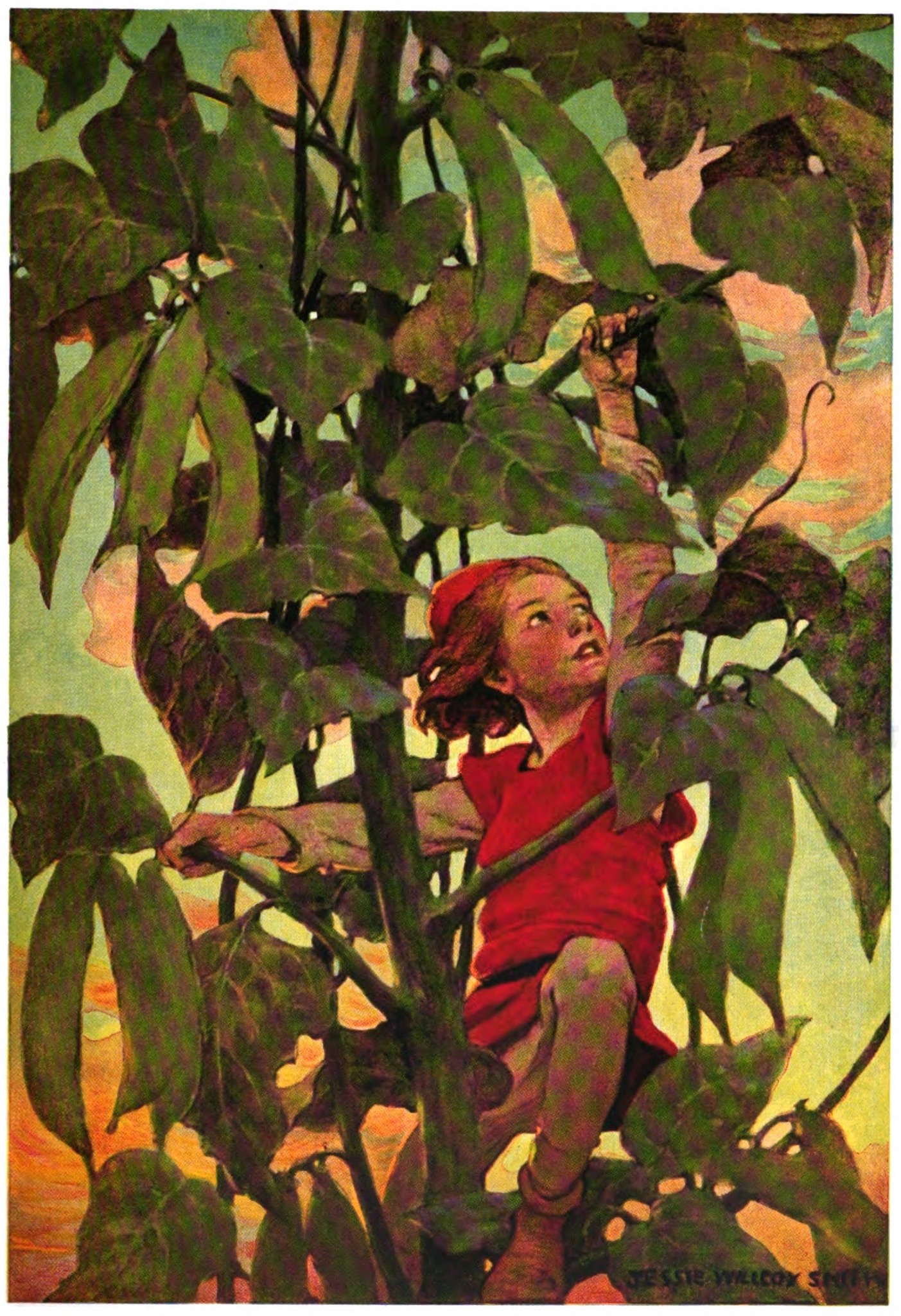 Jack and the Beanstalk illustrated