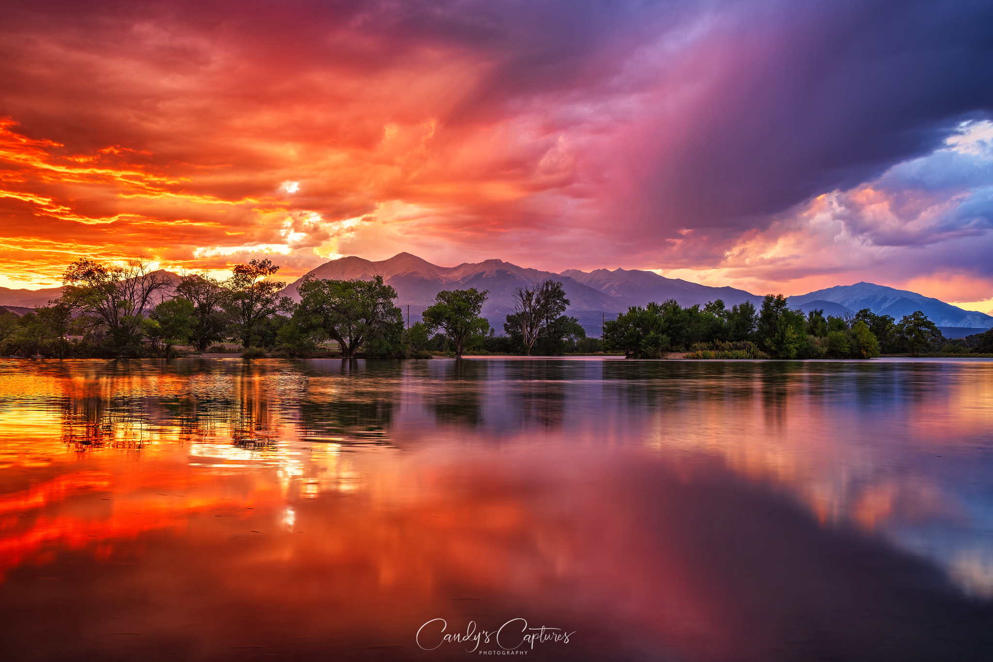 Light is both electric and magnetic