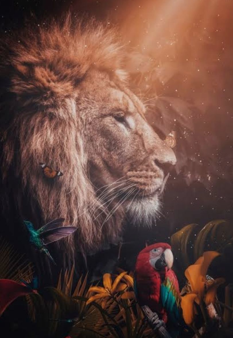 Men's Hearts were created to hold a specific frequency