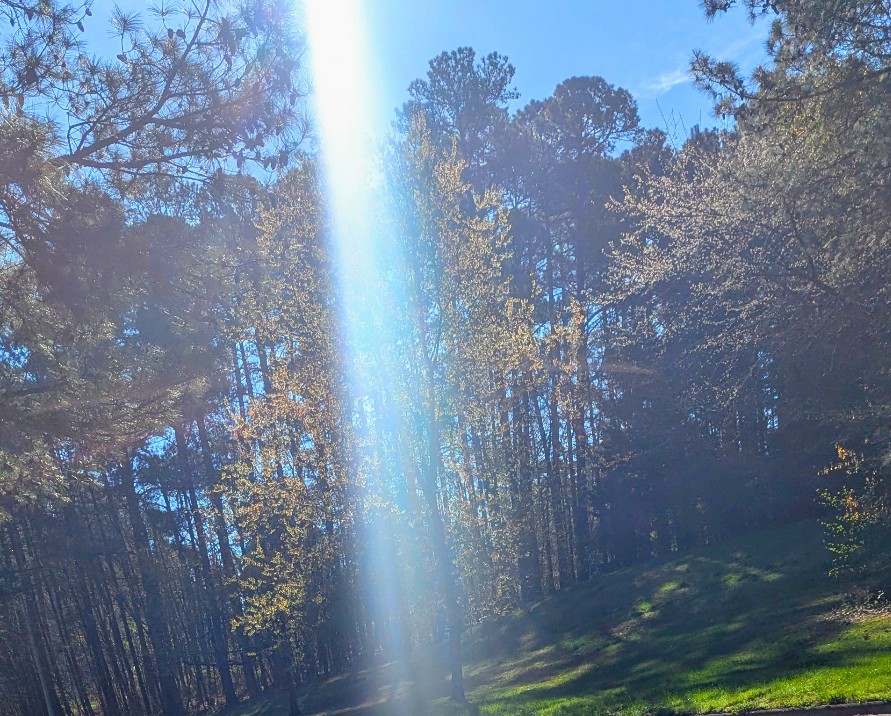 transmission of light