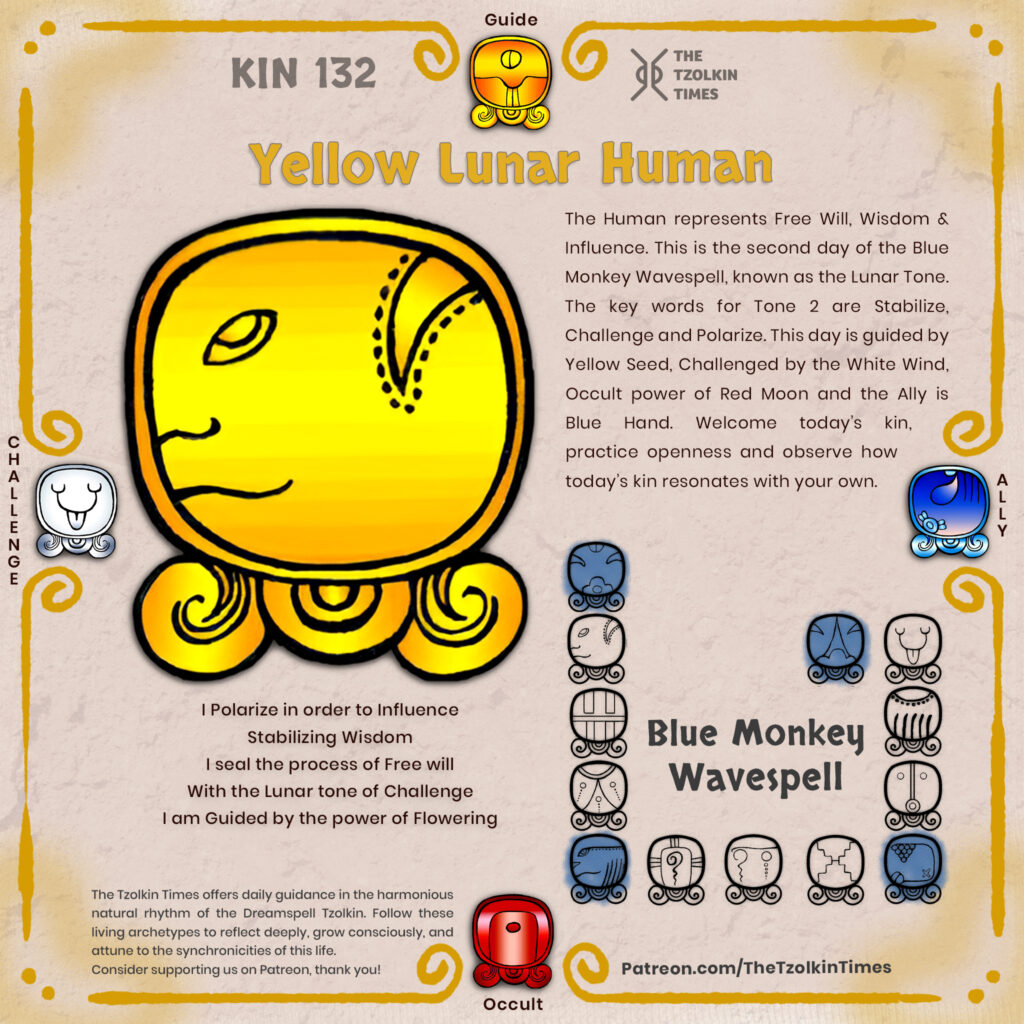 Kin 132 ~ Yellow Lunar Human