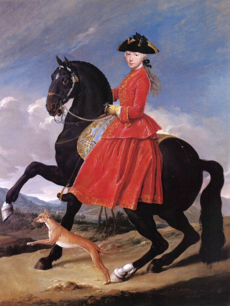 Portrait of a young woman on a horse