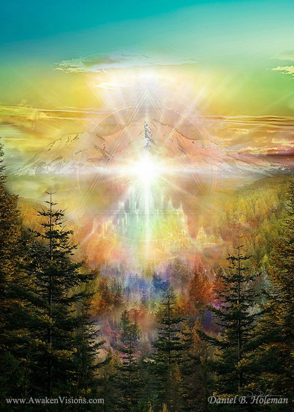 Star seeds remember that you are on a soul journey