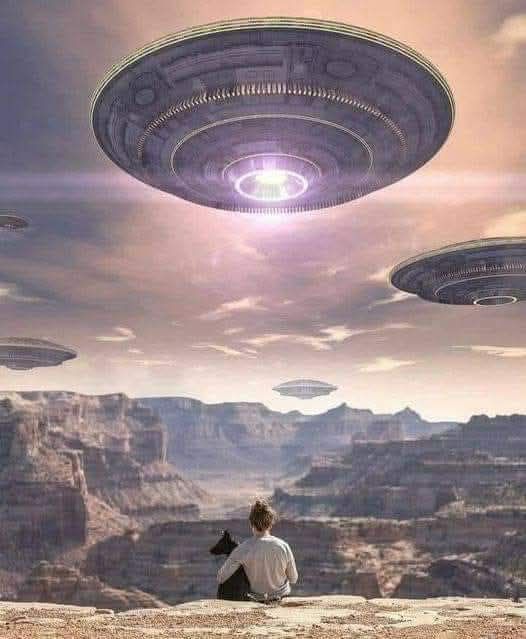 The Arcturian Light Forces