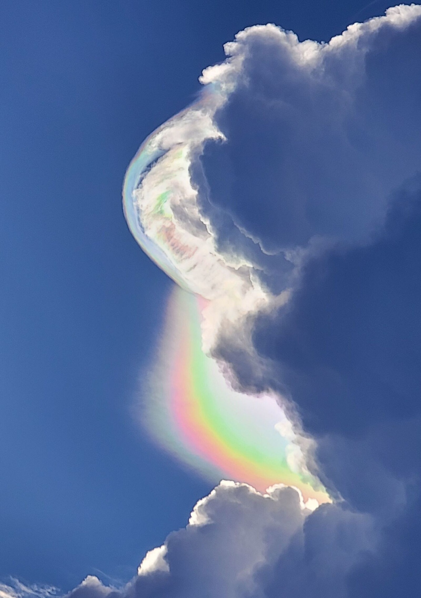 The Divine Codes activating within our DNA