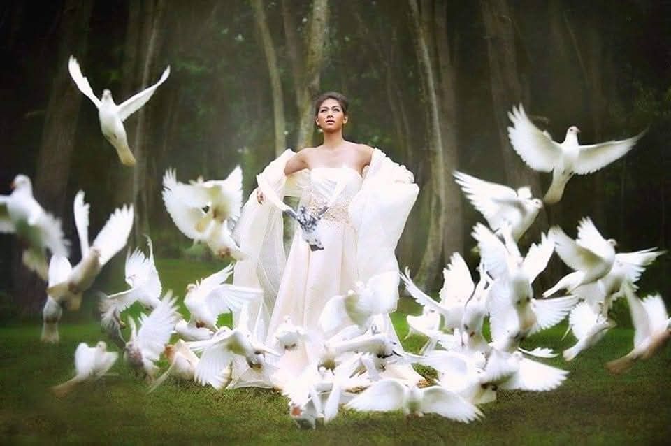 The Warrior Dreamer