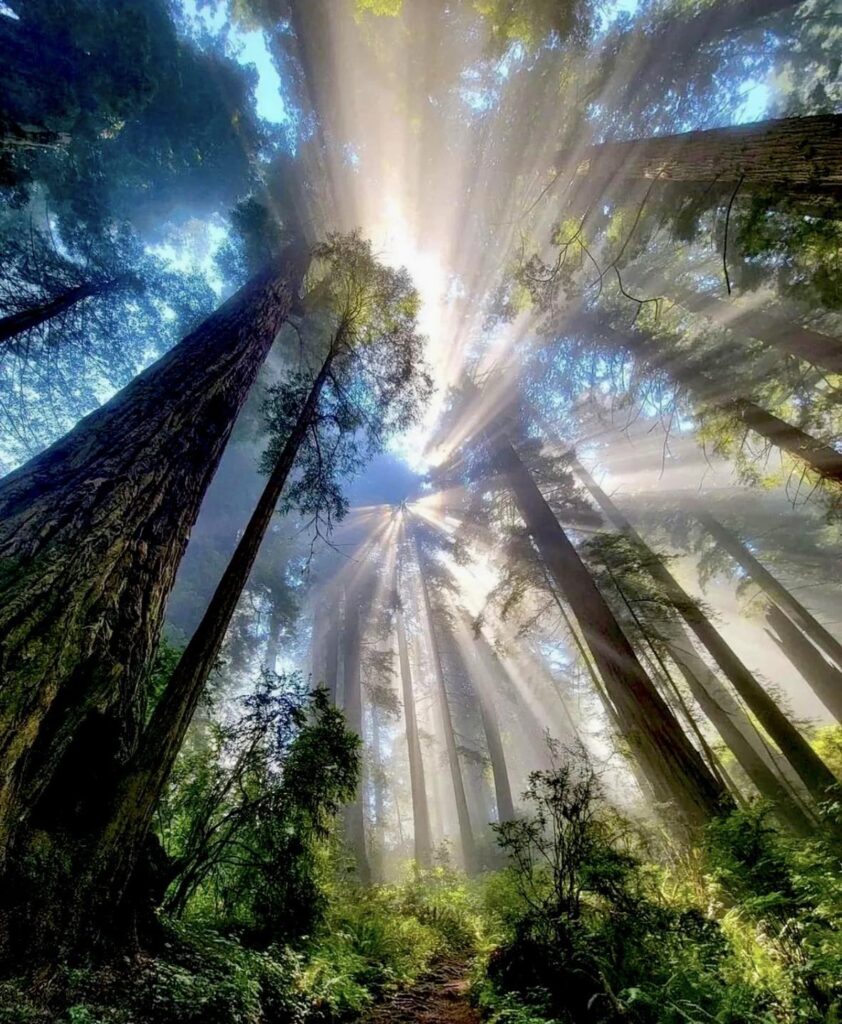 your attention is attuned