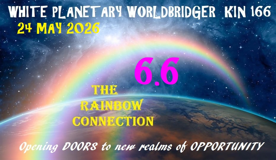 WHITE PLANETARY WORLDBRIDGER