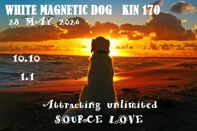 WHITE MAGNETIC DOG