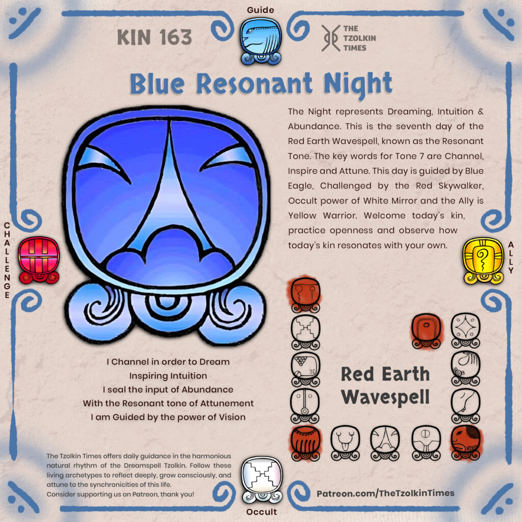 Kin 163 ~ Blue Resonant Night
