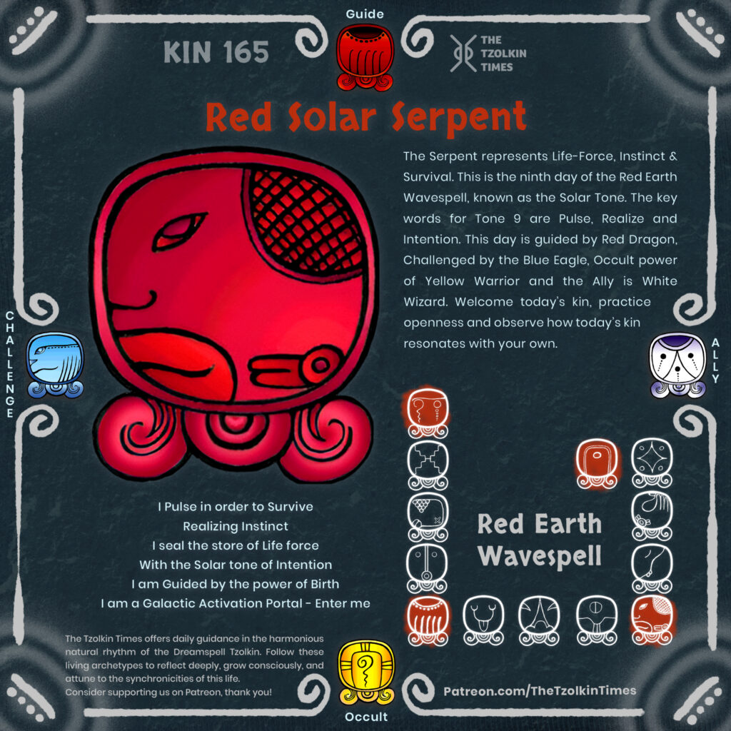 Kin 165 ~ Red Solar Serpent