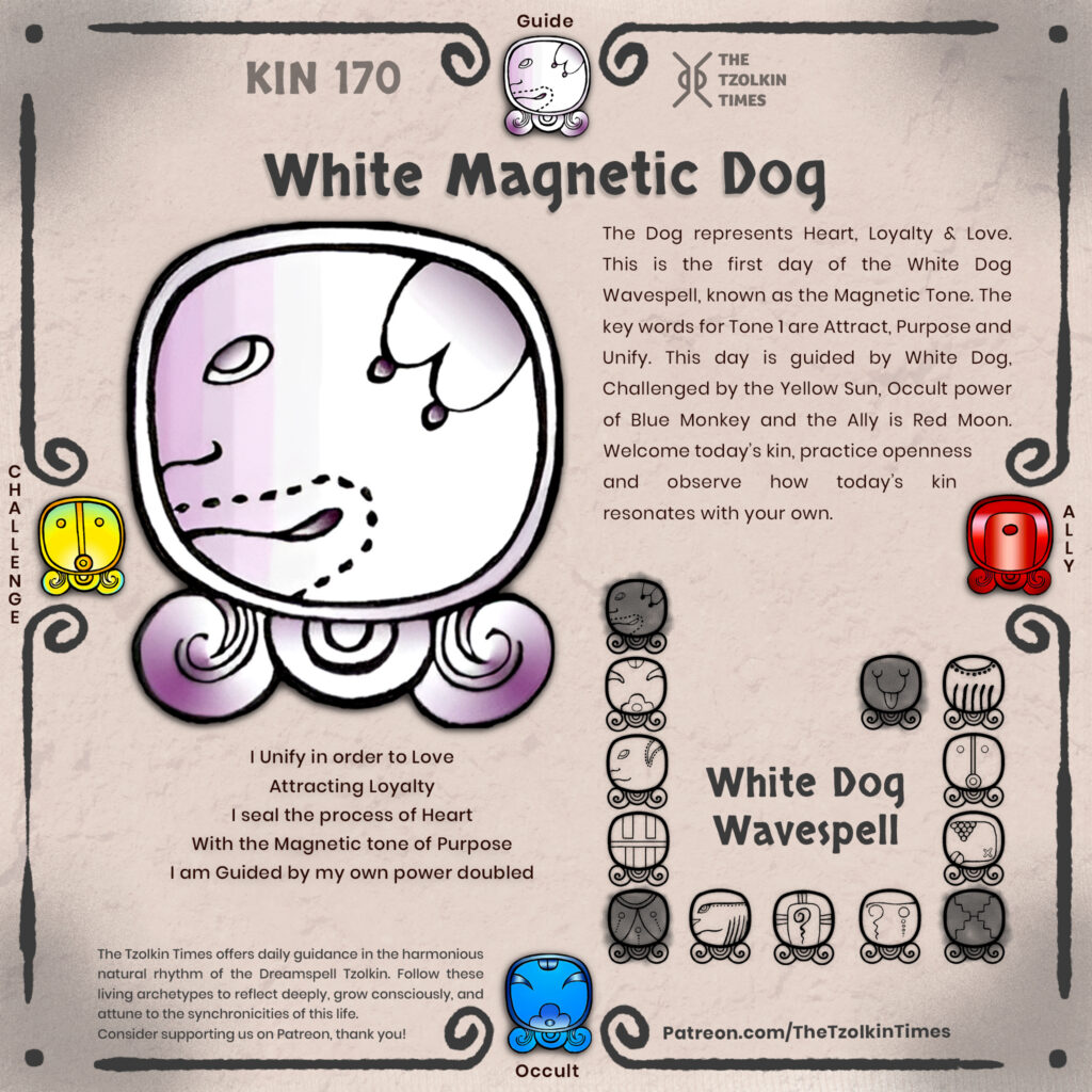 Kin 170 ~ White Magnetic Dog