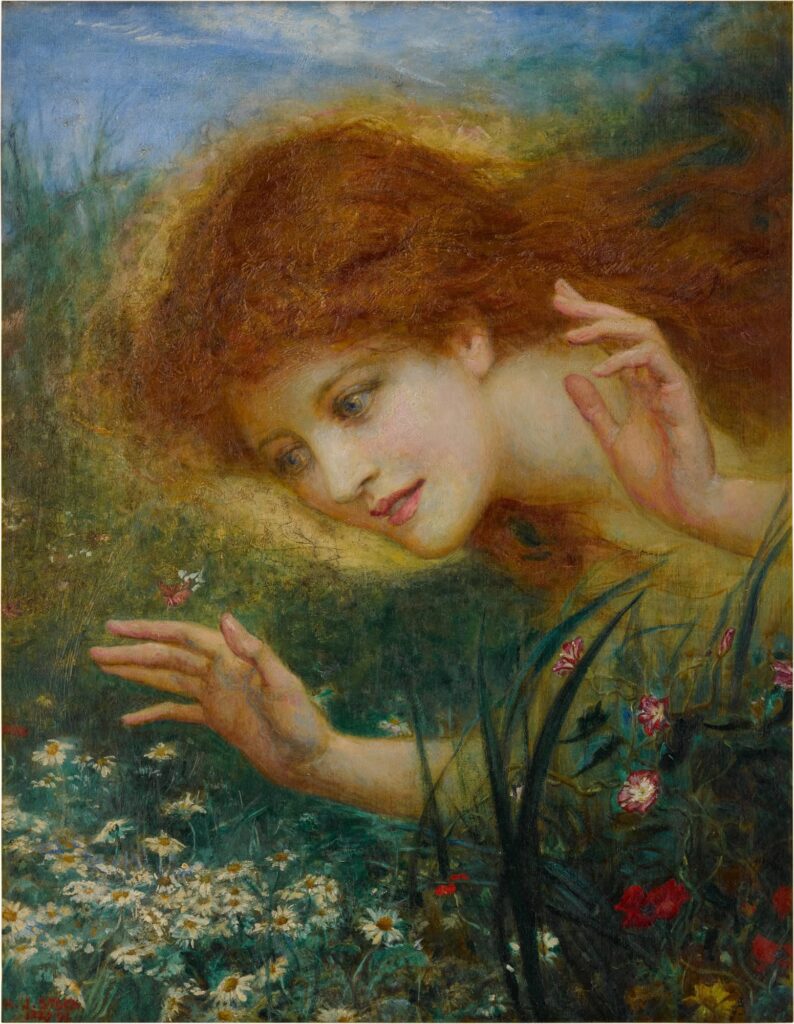 Discovering Daisies