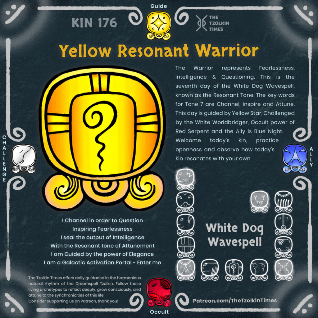 Kin 176 ~ Yellow Resoanant Warrior