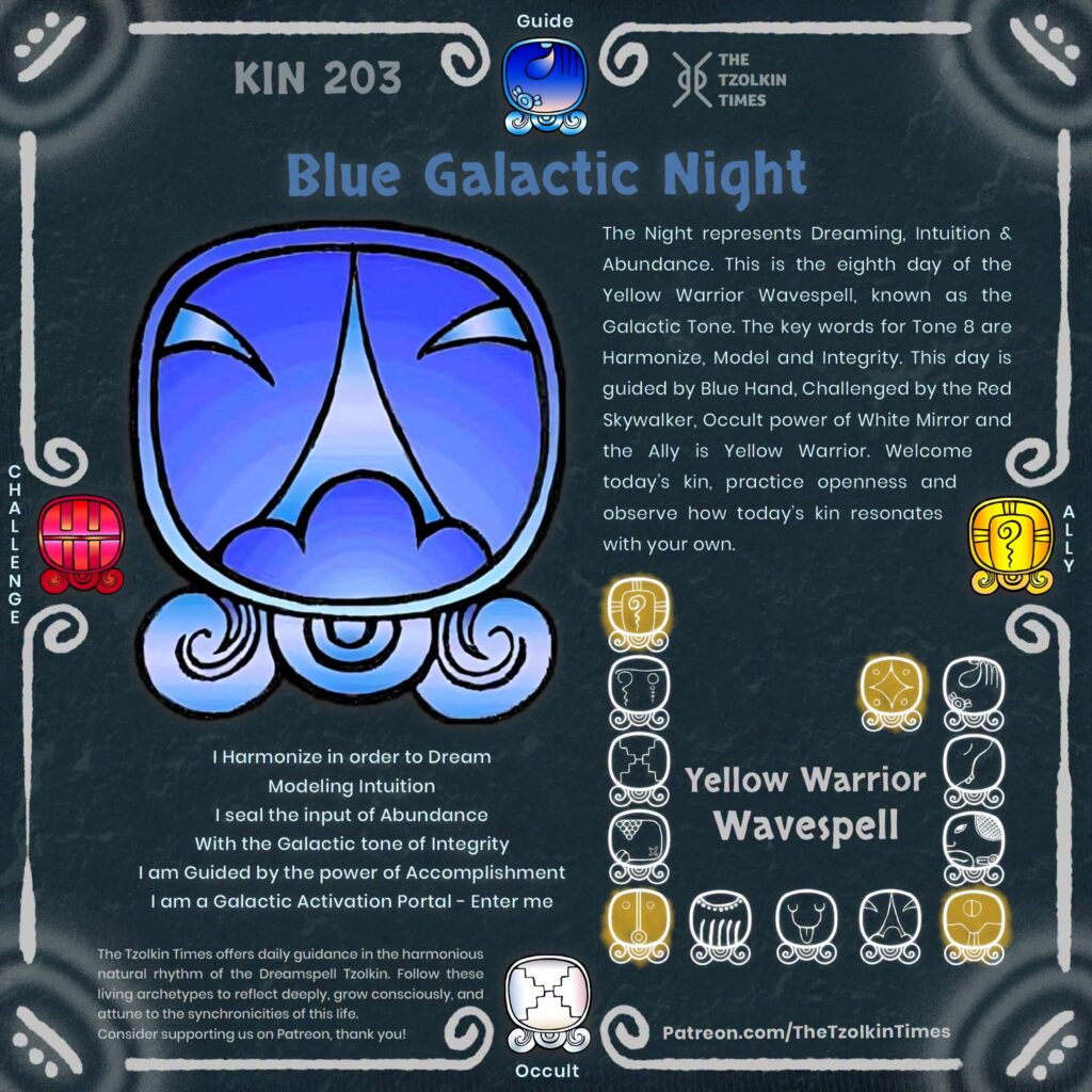 Kin 203 ~ Blue Galactic Night
