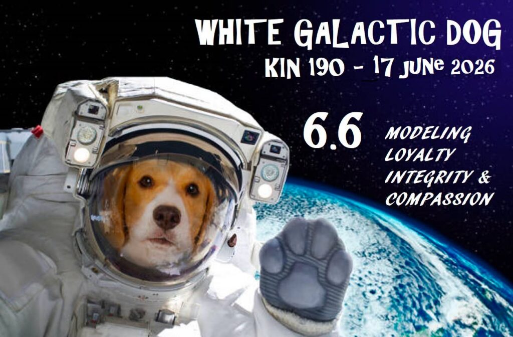 WHITE GALACTIC DOG