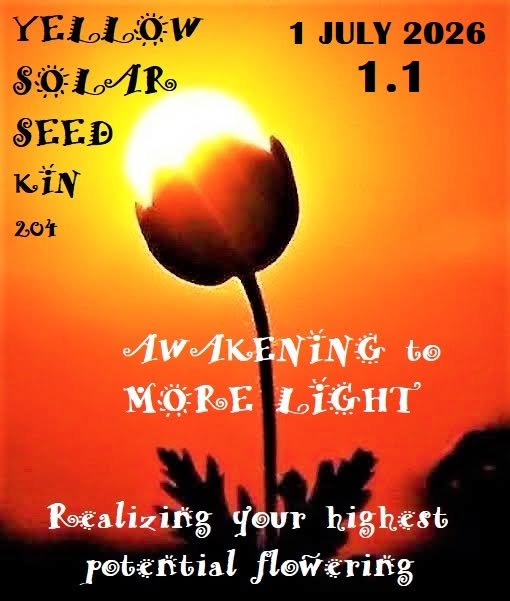 YELLOW SOLAR SEED