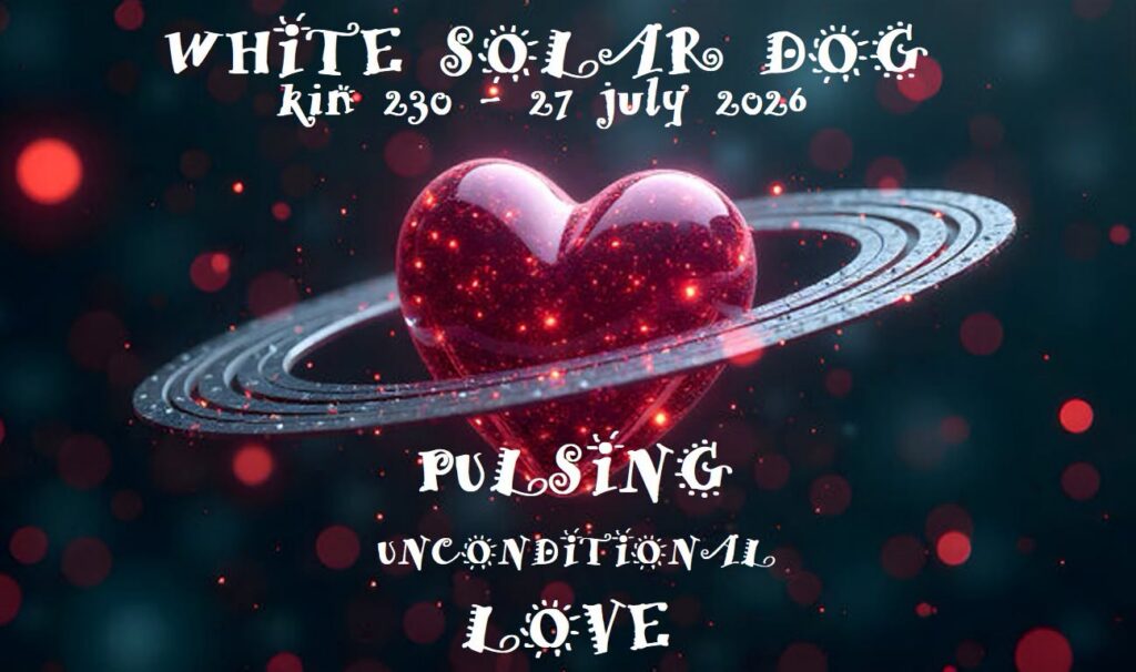 WHITE SOLAR DOG