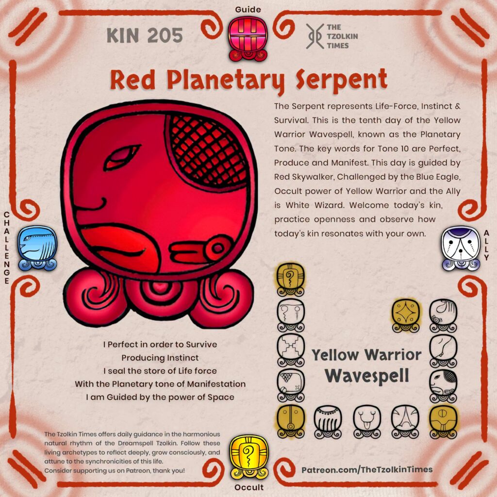 Kin 205 ~ Red Planetary Serpent
