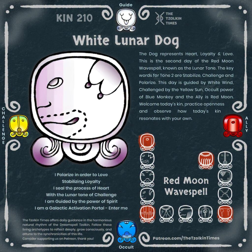 Kin 210 ~ White Lunar Dog