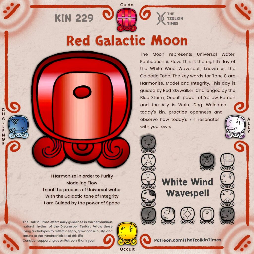 Kin 229 ~ Red Galactic Moon