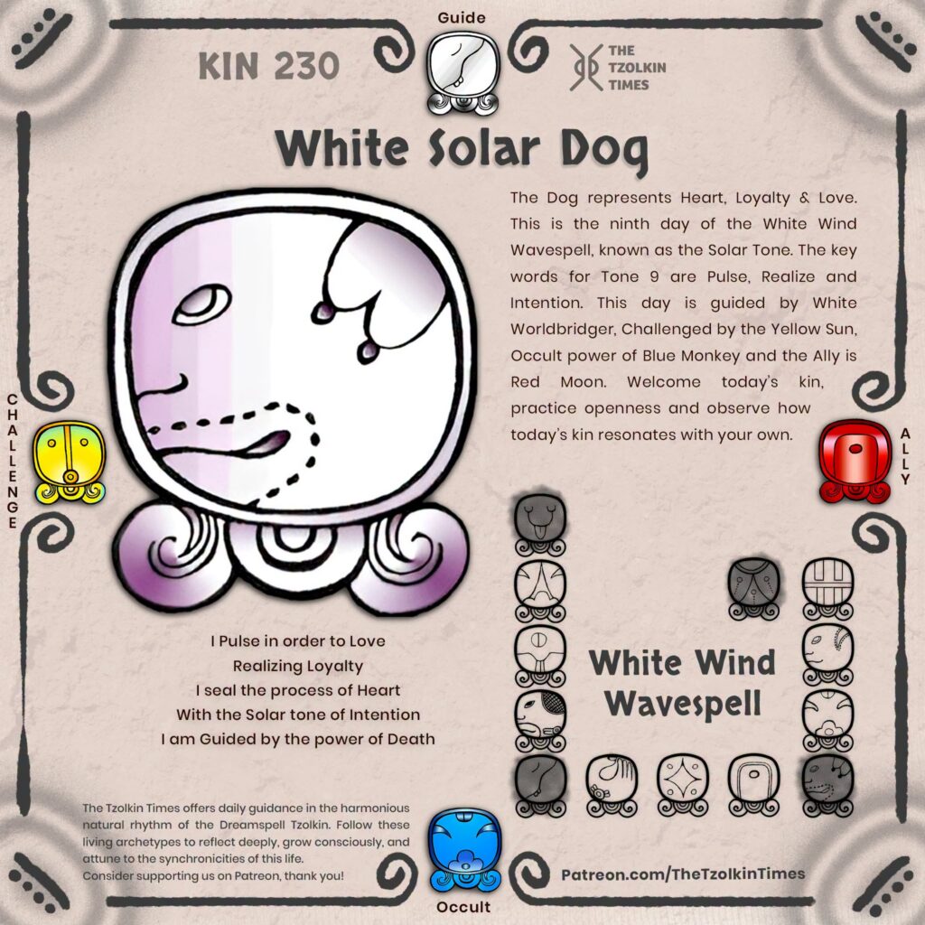 Kin 230 ~ White Solar Dog