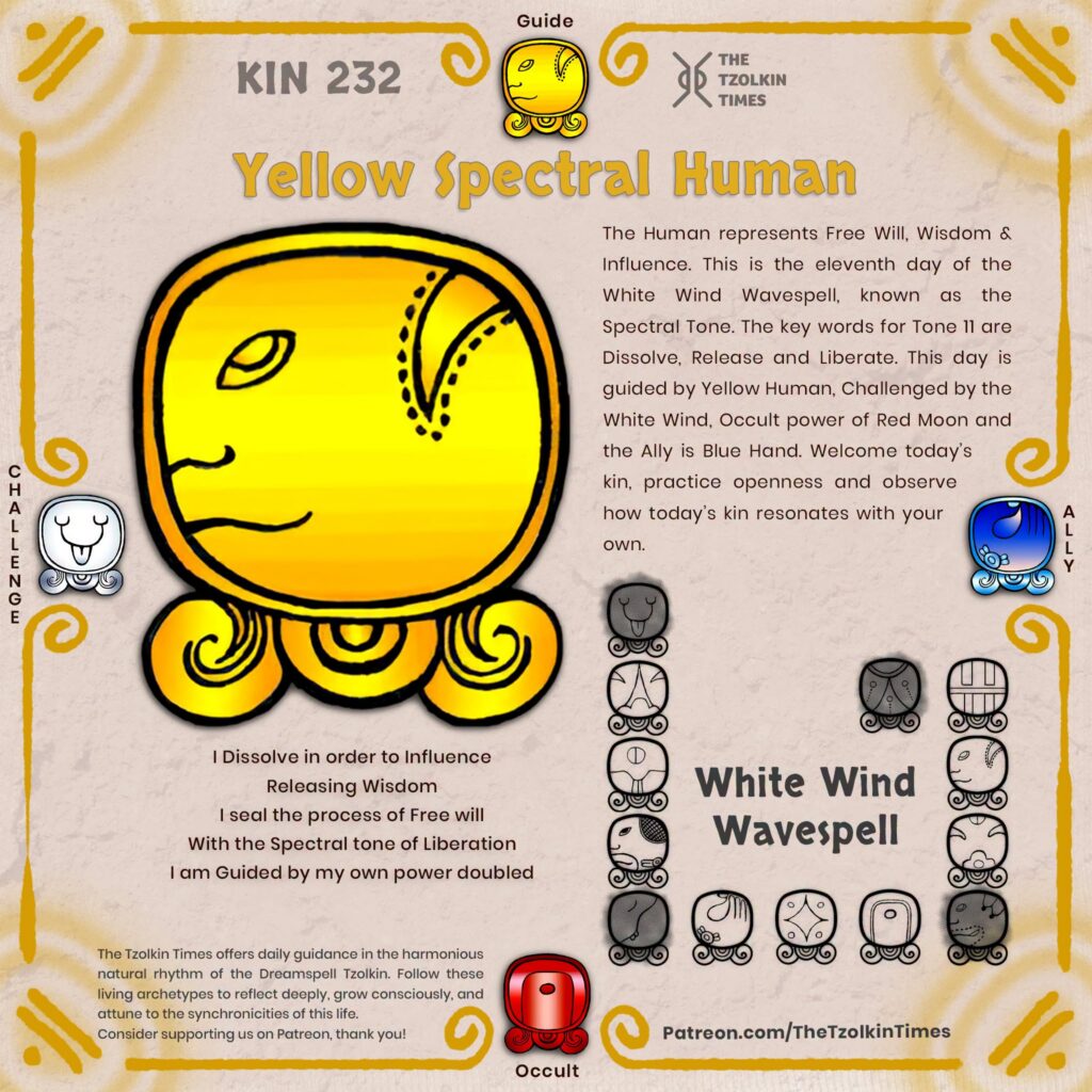Kin 232 ~ Yellow Spectral Human
