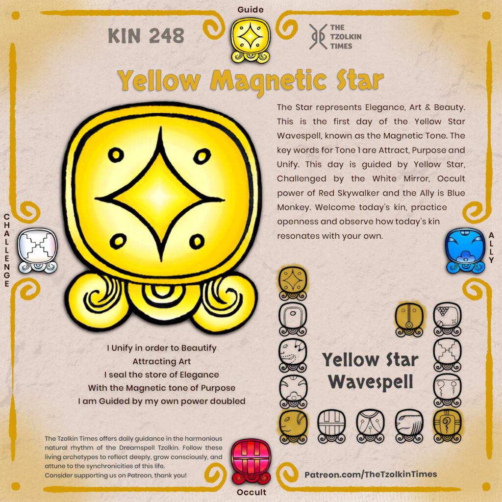 Kin 248 ~ Yellow Magnetic Star