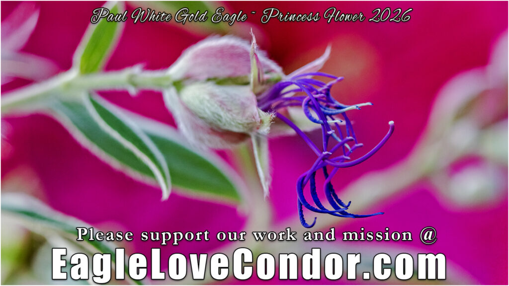 Princess Flower