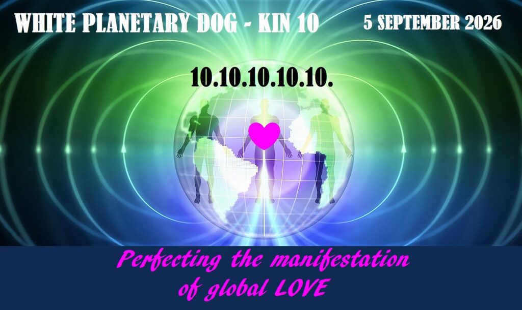 WHITE PLANETARY DOG