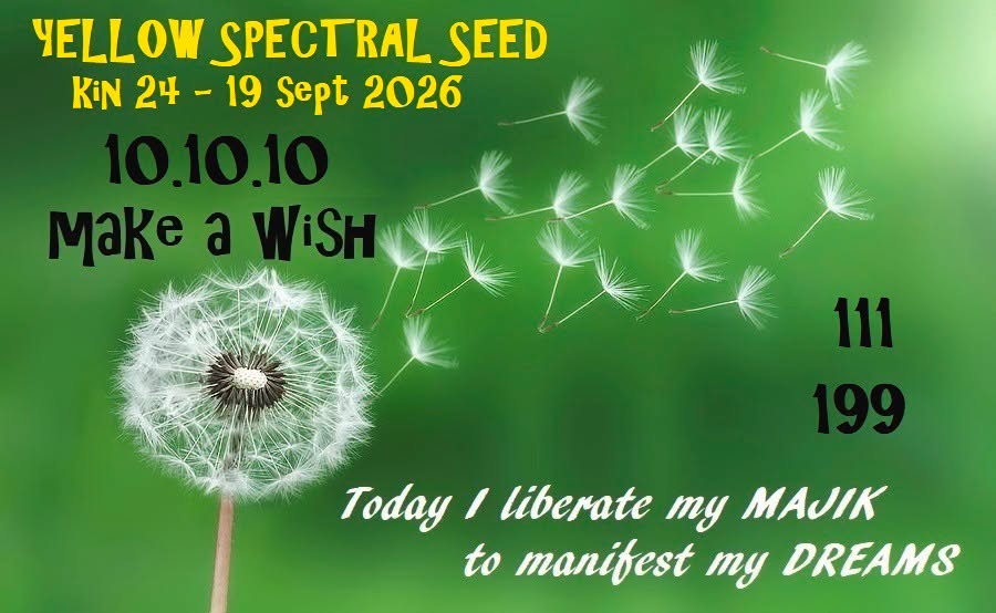 YELLOW SPECTRAL SEED