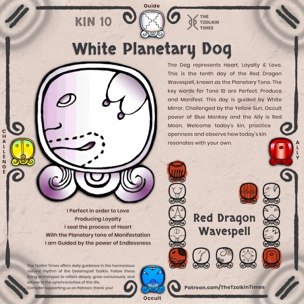 Kin 10 ~ White Planetary Dog