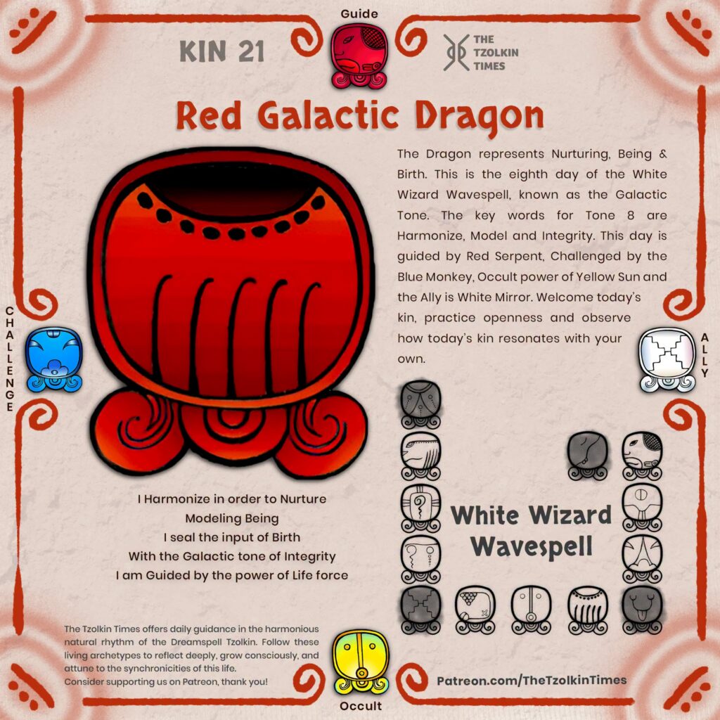 Kin 21 ~ Red Galactic Dragon
