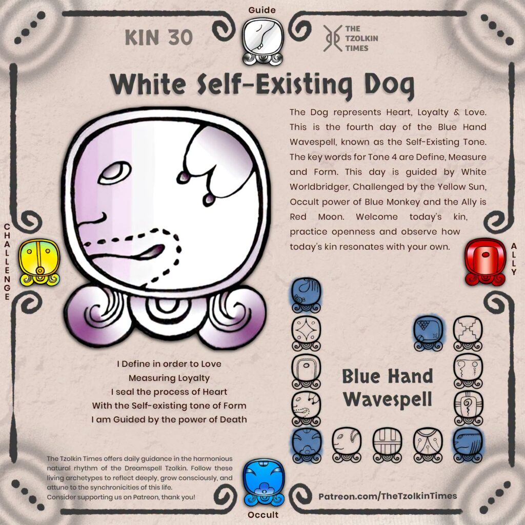 Kin 30 ~ White Self-Existing Dog