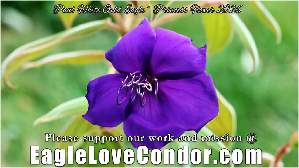 Princess Flower