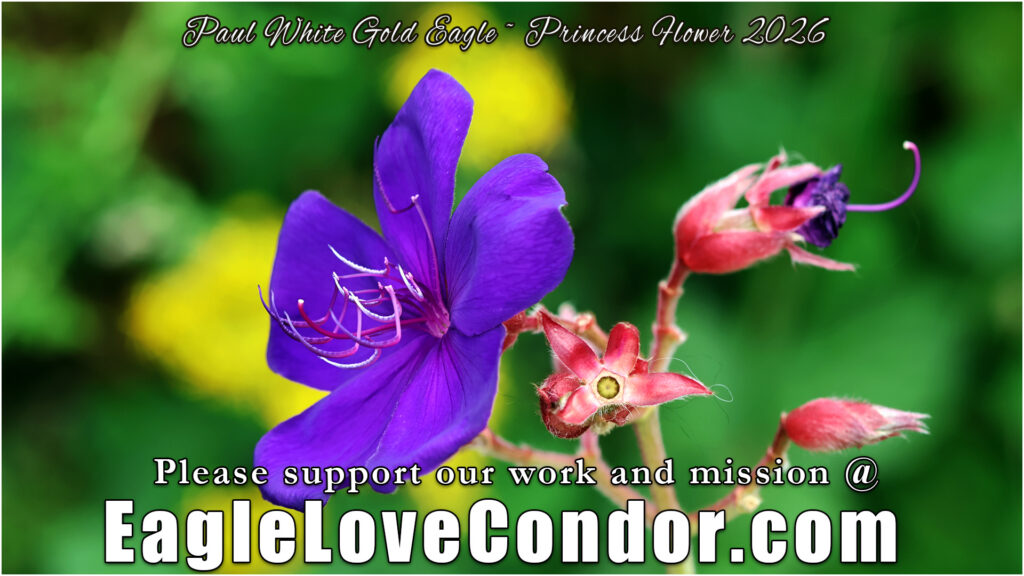 Princess Flower