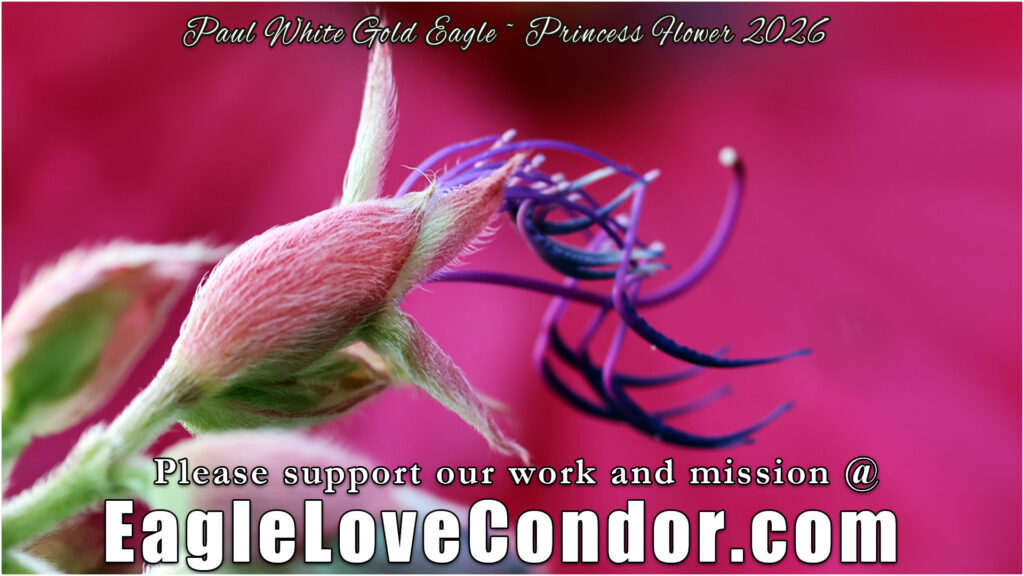 Princess Flower